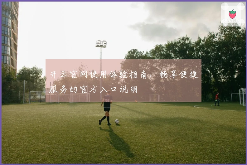 开云官网使用体验指南，畅享便捷服务的官方入口说明